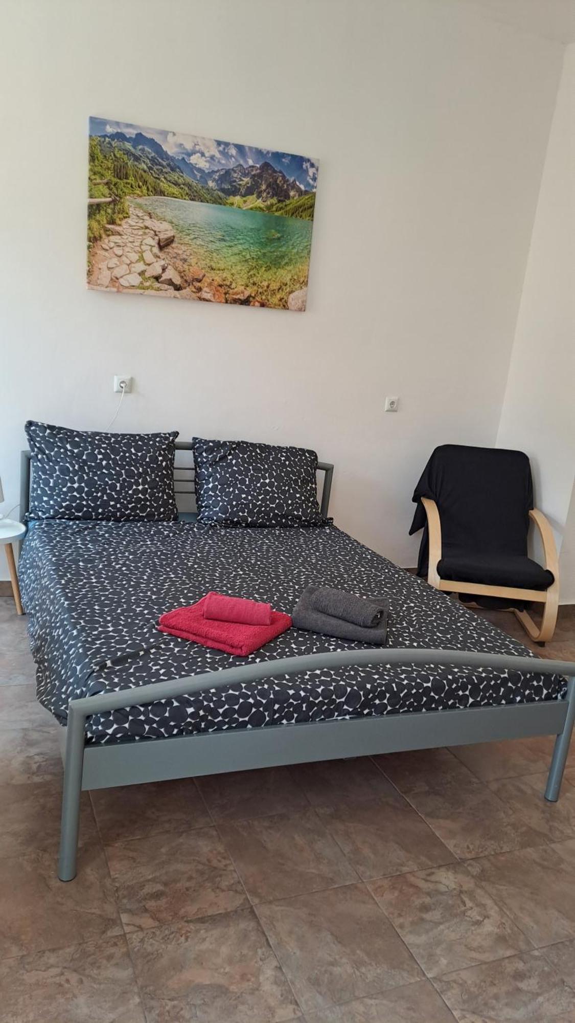 Dejan Apartment-top Centar-old Town-low Budget